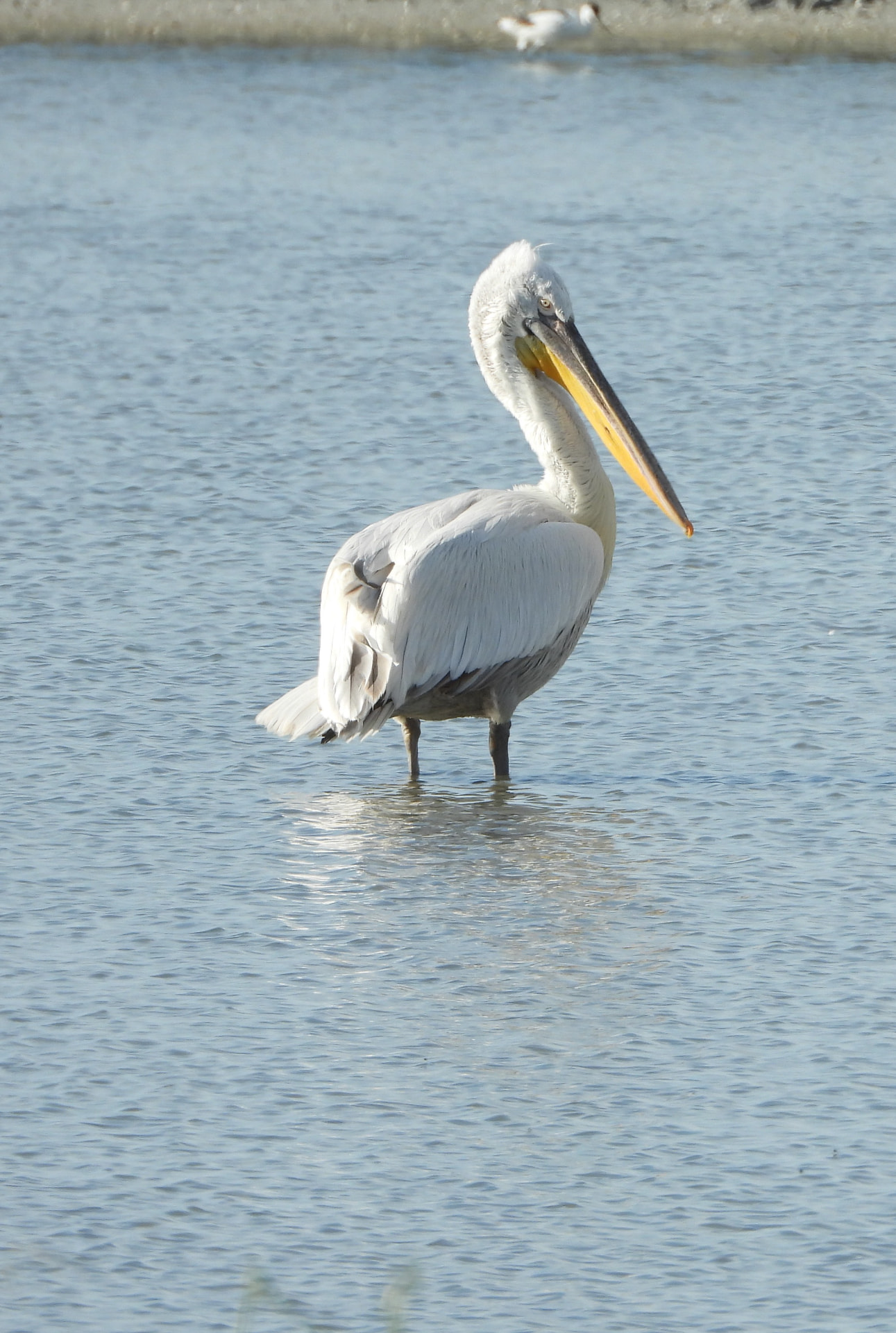 Wildlife &
Nature