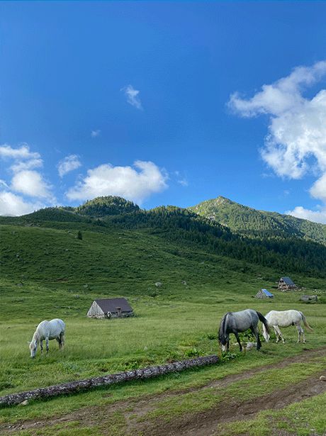 Peaks of Balkans & Uncharted Routes photo 3