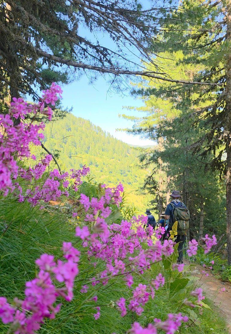 Albanian Alps: A Trekking Adventure photo 3